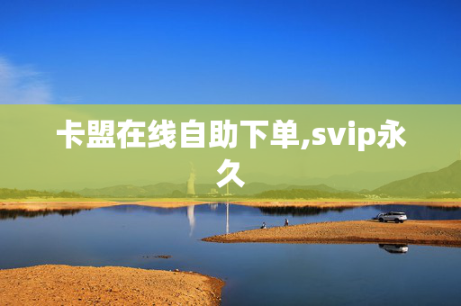 卡盟在线自助下单,svip永久