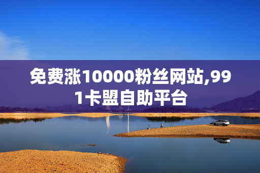 免费涨10000粉丝网站,991卡盟自助平台