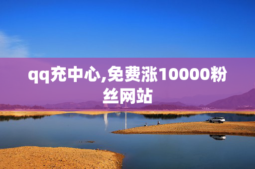 qq充中心,免费涨10000粉丝网站