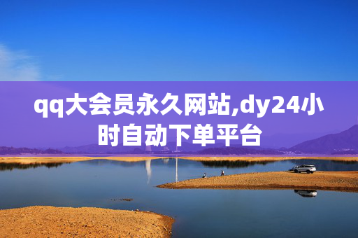 qq大会员永久网站,dy24小时自动下单平台