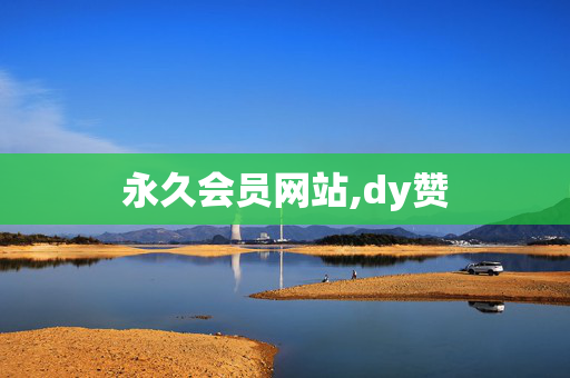 永久会员网站,dy赞