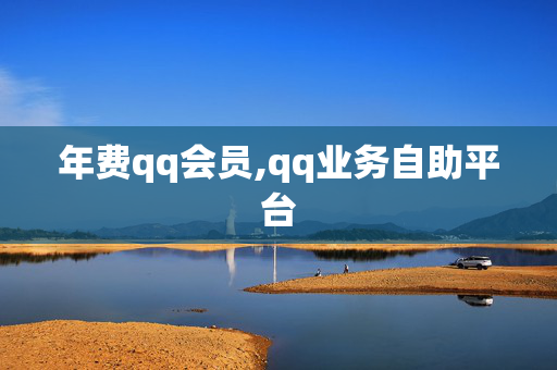 年费qq会员,qq业务自助平台