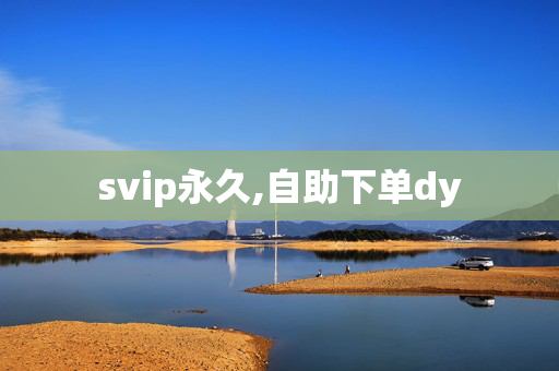 svip永久,自助下单dy