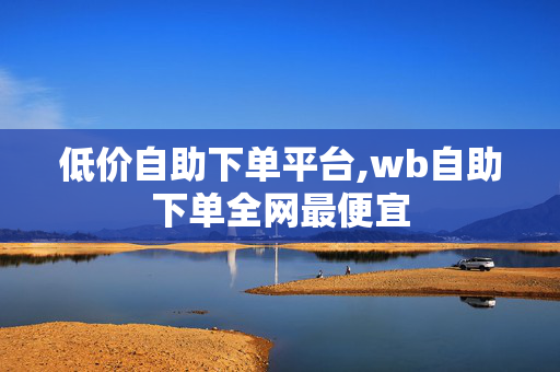 低价自助下单平台,wb自助下单全网最便宜