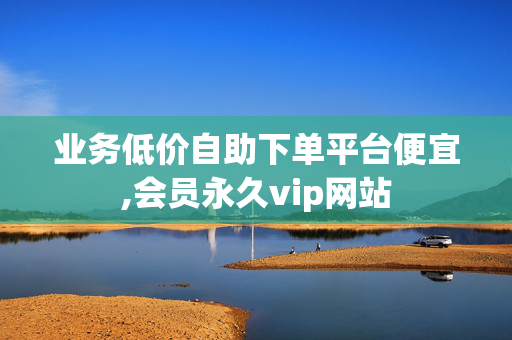 业务低价自助下单平台便宜,会员永久vip网站