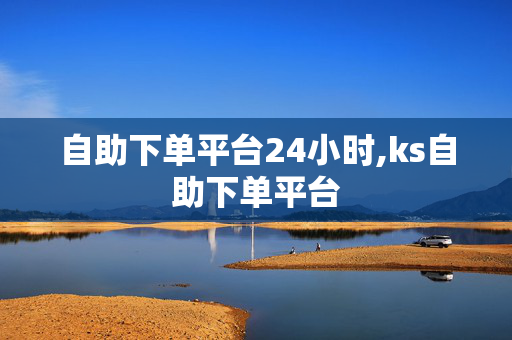 自助下单平台24小时,ks自助下单平台