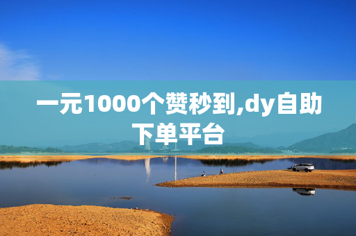 一元1000个赞秒到,dy自助下单平台