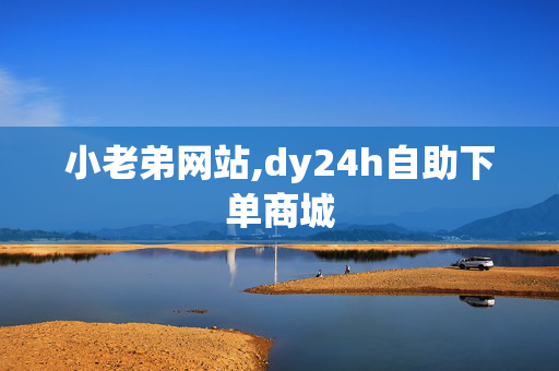 小老弟网站,dy24h自助下单商城