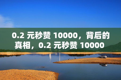 0.2 元秒赞 10000，背后的真相，0.2 元秒赞 10000 的背后