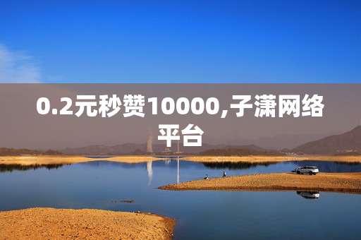 0.2元秒赞10000,子潇网络平台