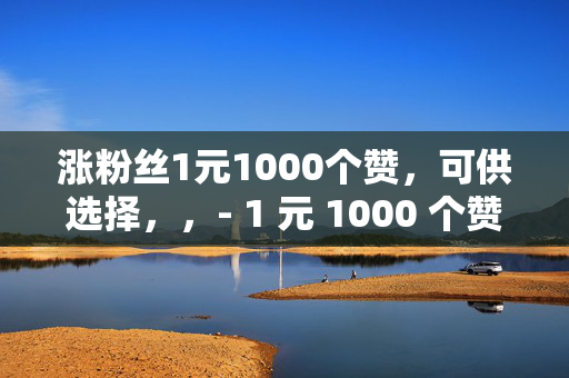 涨粉丝1元1000个赞，可供选择，，- 1 元 1000 个赞，轻松涨粉丝