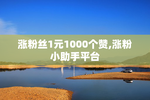 涨粉丝1元1000个赞,涨粉小助手平台