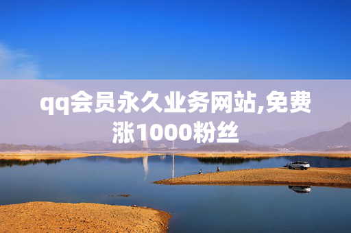 qq会员永久业务网站,免费涨1000粉丝