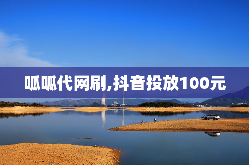 呱呱代网刷,抖音投放100元