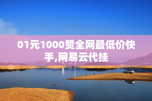 01元1000赞全网最低价快手,网易云代挂