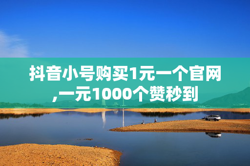 抖音小号购买1元一个官网,一元1000个赞秒到