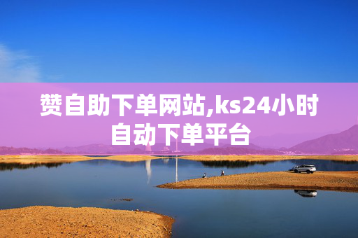 赞自助下单网站,ks24小时自动下单平台