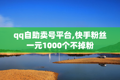 qq自助卖号平台,快手粉丝一元1000个不掉粉