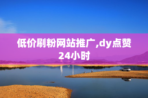 低价刷粉网站推广,dy点赞24小时