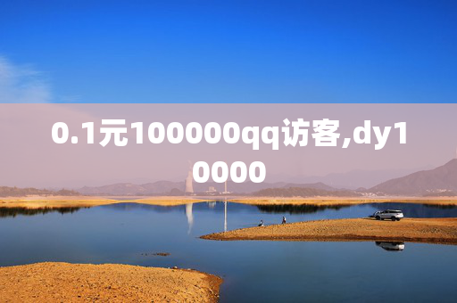 0.1元100000qq访客,dy10000