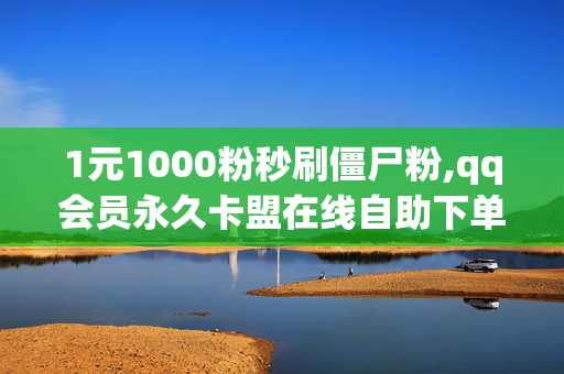 1元1000粉秒刷僵尸粉,qq会员永久卡盟在线自助下单