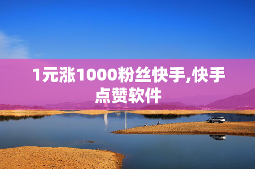 1元涨1000粉丝快手,快手点赞软件