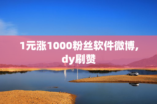 1元涨1000粉丝软件微博,dy刷赞