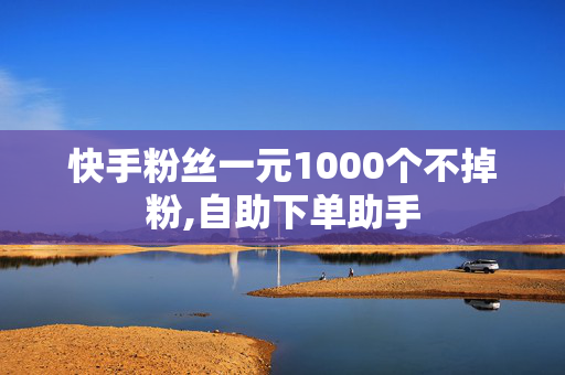 快手粉丝一元1000个不掉粉,自助下单助手