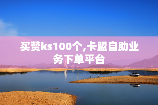 买赞ks100个,卡盟自助业务下单平台