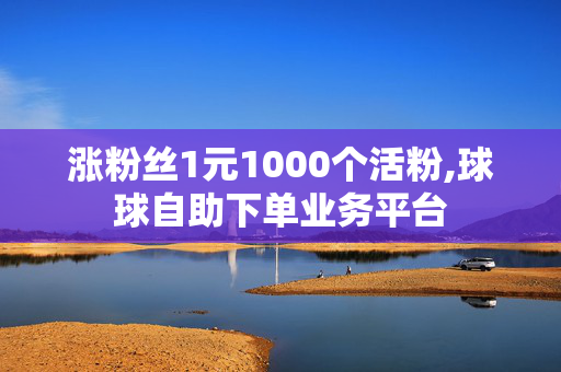 涨粉丝1元1000个活粉,球球自助下单业务平台