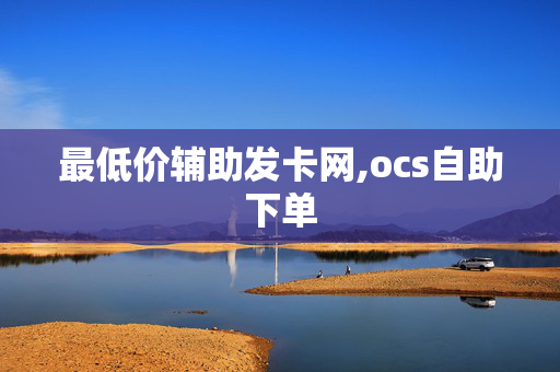 最低价辅助发卡网,ocs自助下单