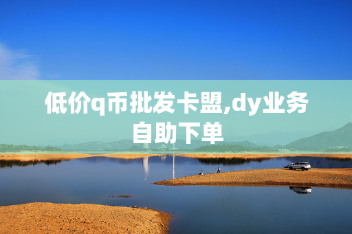 低价q币批发卡盟,dy业务自助下单