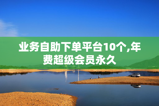 业务自助下单平台10个,年费超级会员永久