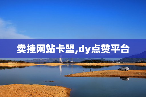 卖挂网站卡盟,dy点赞平台