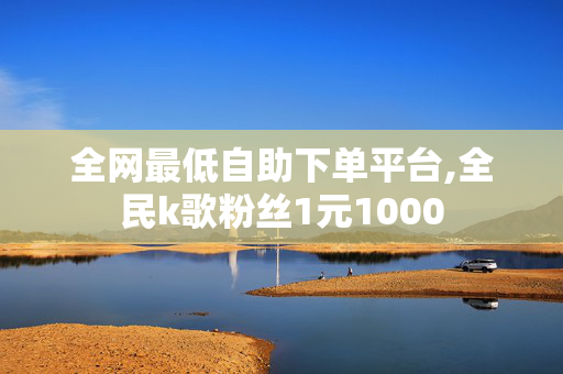 全网最低自助下单平台,全民k歌粉丝1元1000