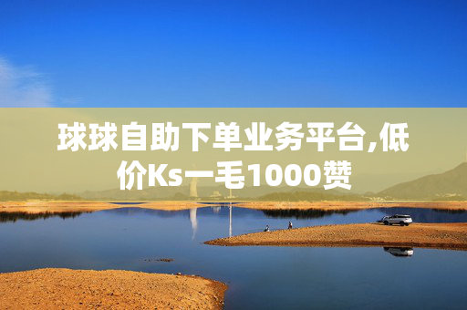 球球自助下单业务平台,低价Ks一毛1000赞