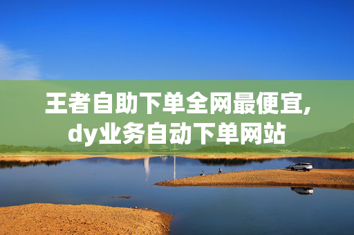 王者自助下单全网最便宜,dy业务自动下单网站