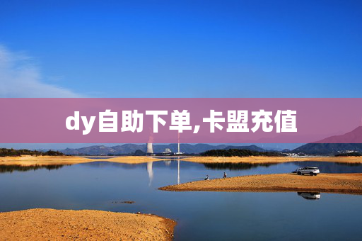 dy自助下单,卡盟充值