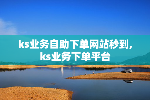 ks业务自助下单网站秒到,ks业务下单平台