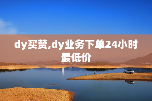 dy买赞,dy业务下单24小时最低价