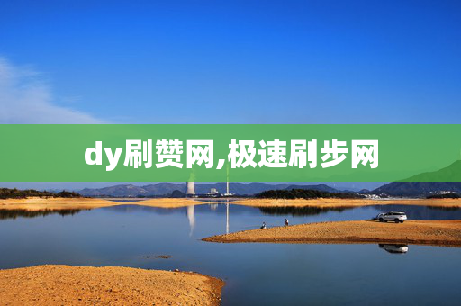 dy刷赞网,极速刷步网