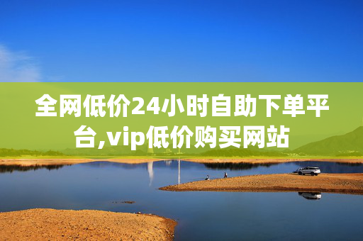 全网低价24小时自助下单平台,vip低价购买网站