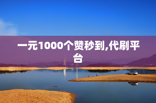 一元1000个赞秒到,代刷平台