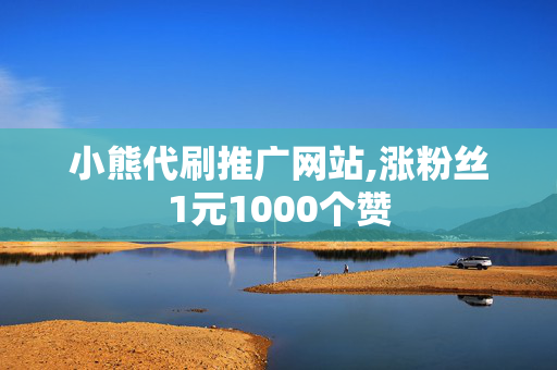 小熊代刷推广网站,涨粉丝1元1000个赞