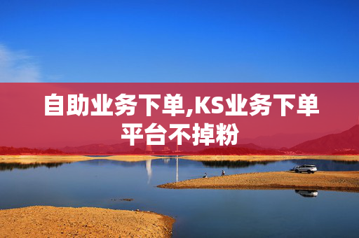 自助业务下单,KS业务下单平台不掉粉