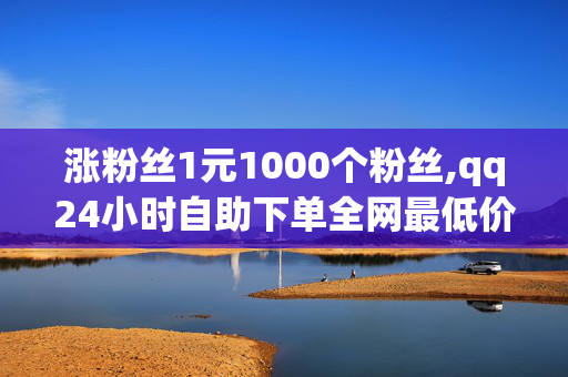 涨粉丝1元1000个粉丝,qq24小时自助下单全网最低价