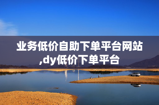 业务低价自助下单平台网站,dy低价下单平台