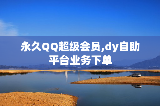 永久QQ超级会员,dy自助平台业务下单