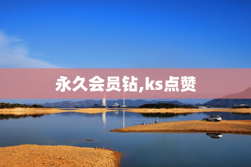 永久会员钻,ks点赞