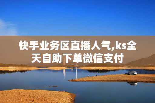 快手业务区直播人气,ks全天自助下单微信支付